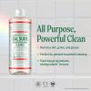 Dr. Bronner’s Sal Suds Biodegradable Cleaner (32 Ounce, 2-Pack) – All-Purpose Mop Detergent for Floors, Kitchen & Bathroom, Multi-Surface Household Concentrate, Dish Degreaser & Laundry Use(Pine)