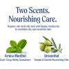 Dr. Bronner’s – Organic Magic Balm (2 oz Variety Pack) Arnica-Menthol & Baby Unscented – Made with Organic Beeswax & Hemp Oil, Moisturizes and Soothes Hands, Face & Body | 2 Count(Arnica-Menthol & Baby Unscented)